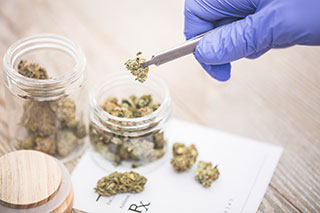 Cannabis als medizinische Behandlung
